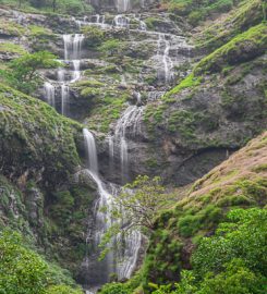 MTDC Resort Bhandardara